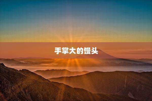 手掌大的馒头