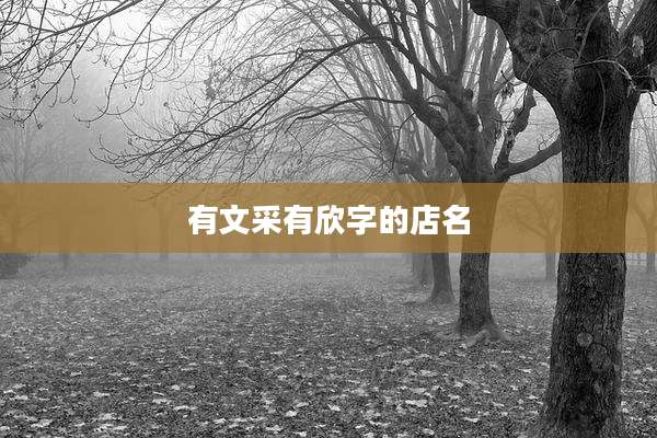 有文采有欣字的店名