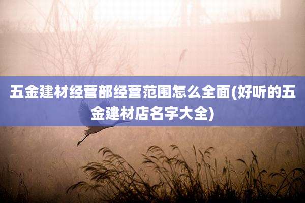 五金建材经营部经营范围怎么全面(好听的五金建材店名字大全)