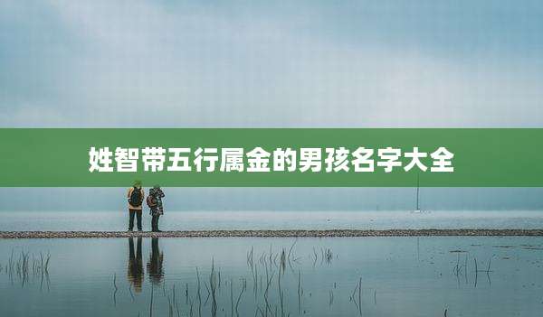 姓智带五行属金的男孩名字大全