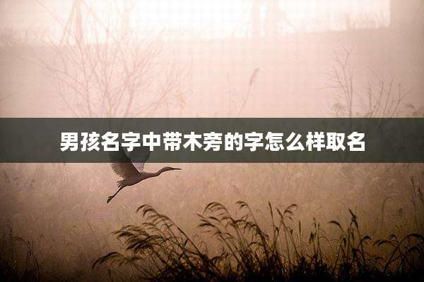 男孩名字中带木旁的字怎么样取名