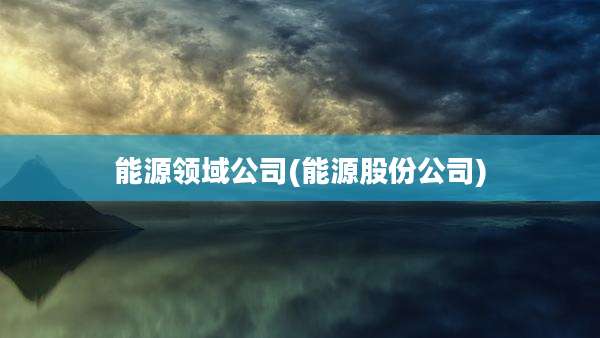 能源领域公司(能源股份公司)