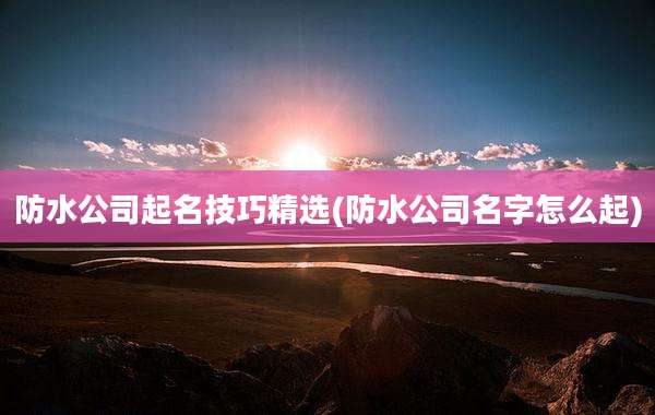 防水公司起名技巧精选(防水公司名字怎么起)