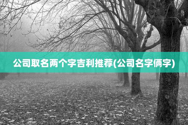 公司取名两个字吉利推荐(公司名字俩字)