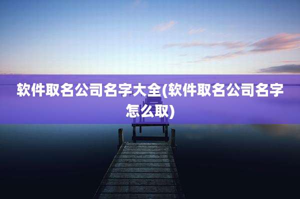 软件取名公司名字大全(软件取名公司名字怎么取)
