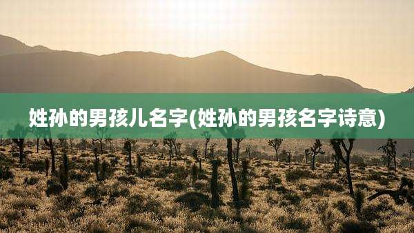 姓孙的男孩儿名字(姓孙的男孩名字诗意)