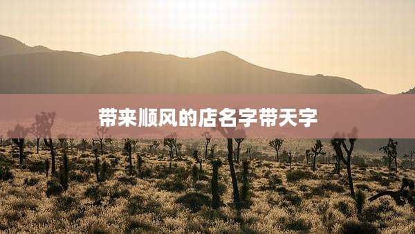 带来顺风的店名字带天字