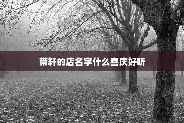 带轩的店名字什么喜庆好听