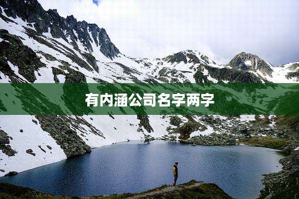 有内涵公司名字两字