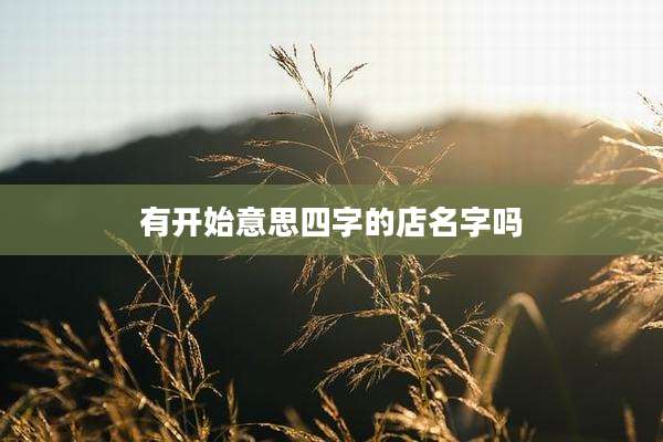 有开始意思四字的店名字吗