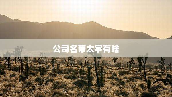 公司名带太字有啥