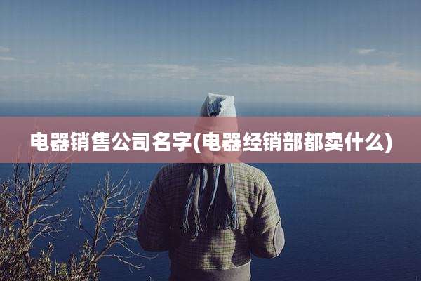 电器销售公司名字(电器经销部都卖什么)