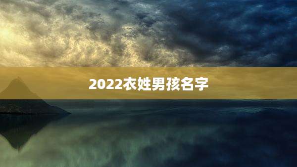 2022衣姓男孩名字