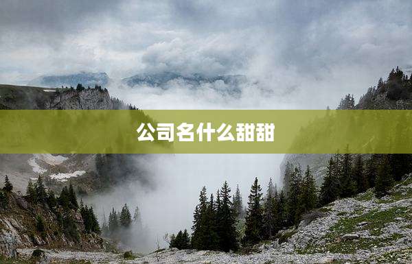 公司名什么甜甜
