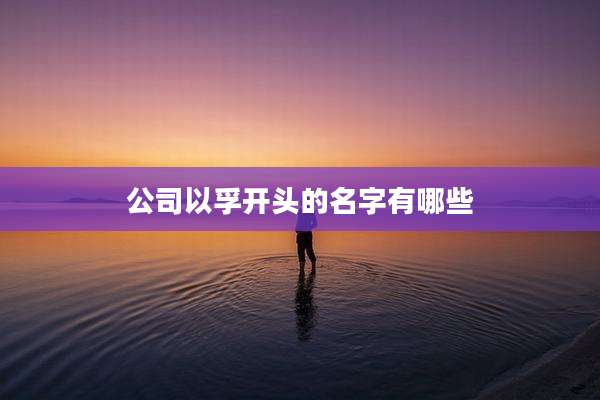 公司以孚开头的名字有哪些