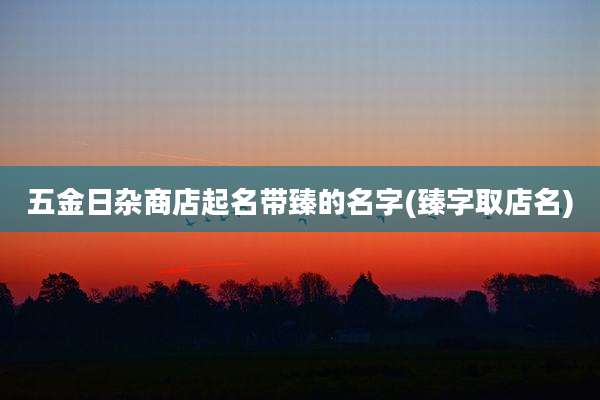 五金日杂商店起名带臻的名字(臻字取店名)