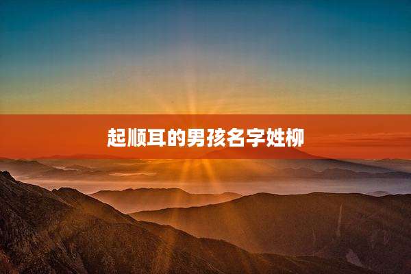起顺耳的男孩名字姓柳