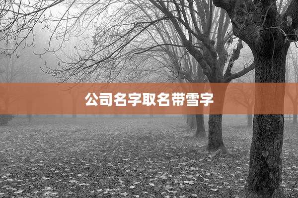 公司名字取名带雪字