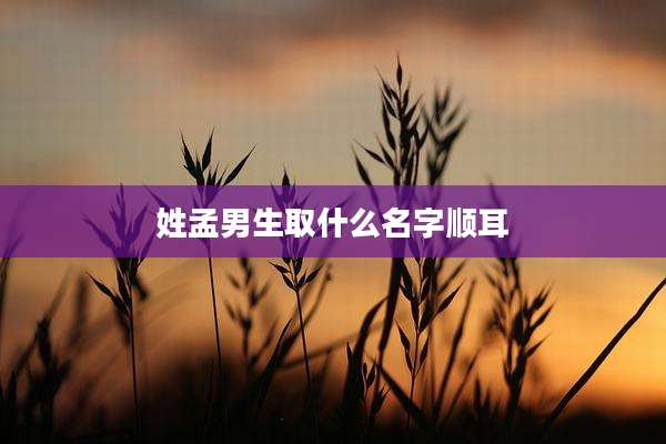 姓孟男生取什么名字顺耳
