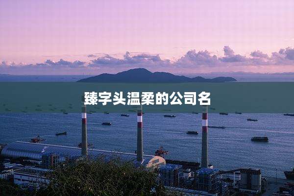 臻字头温柔的公司名
