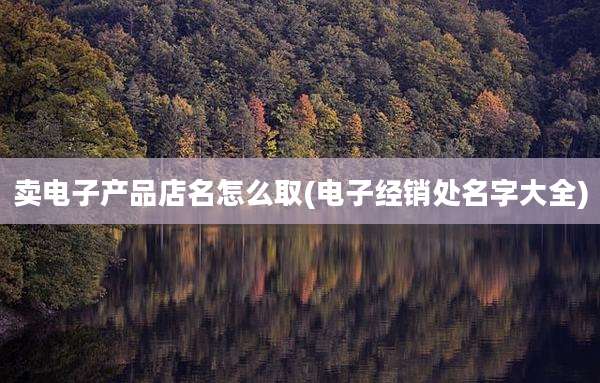 卖电子产品店名怎么取(电子经销处名字大全)