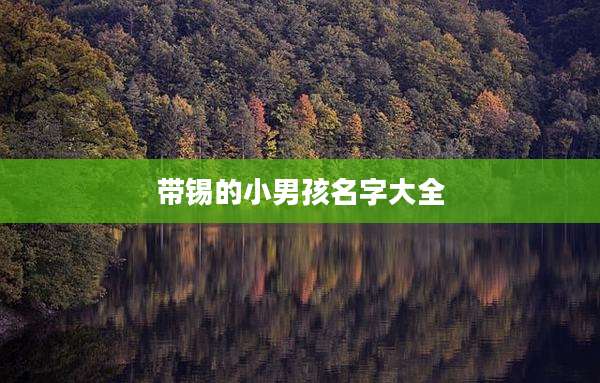 带锡的小男孩名字大全