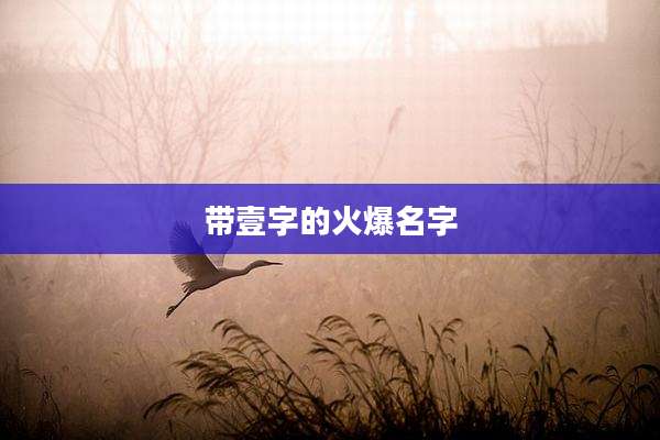 带壹字的火爆名字