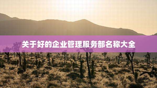 关于好的企业管理服务部名称大全