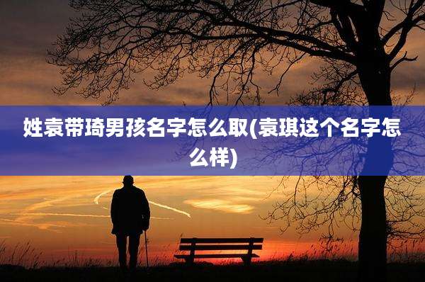 姓袁带琦男孩名字怎么取(袁琪这个名字怎么样)