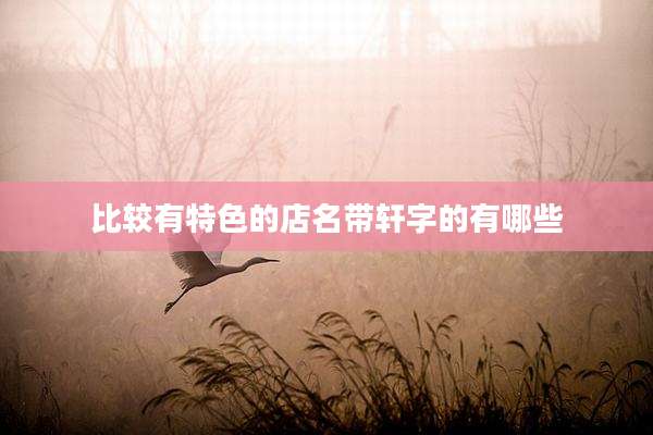 比较有特色的店名带轩字的有哪些
