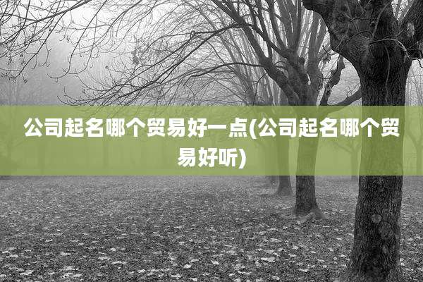 公司起名哪个贸易好一点(公司起名哪个贸易好听)