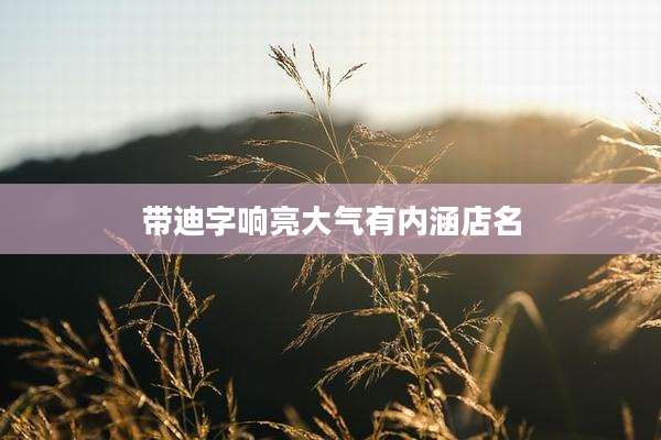 带迪字响亮大气有内涵店名
