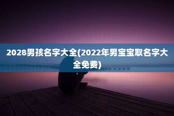 2028男孩名字大全(2022年男宝宝取名字大全免费)
