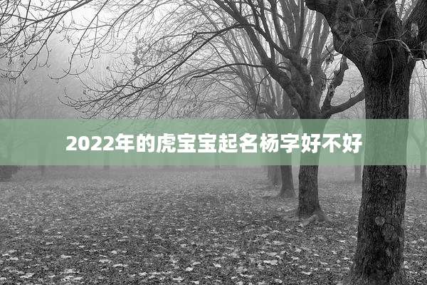 2022年的虎宝宝起名杨字好不好