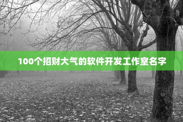 100个招财大气的软件开发工作室名字