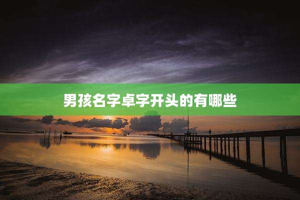 男孩名字卓字开头的有哪些