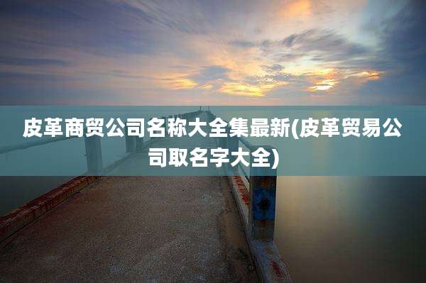 皮革商贸公司名称大全集最新(皮革贸易公司取名字大全)