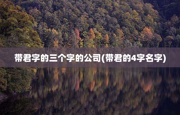 带君字的三个字的公司(带君的4字名字)