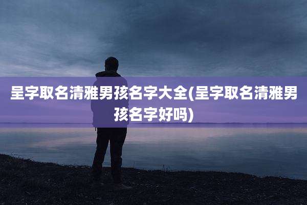 呈字取名清雅男孩名字大全(呈字取名清雅男孩名字好吗)