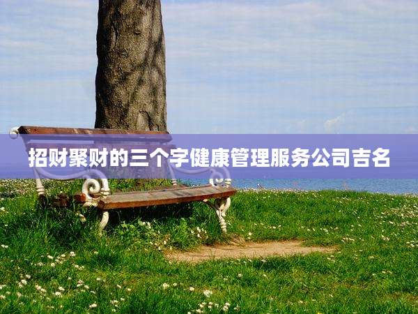 招财聚财的三个字健康管理服务公司吉名