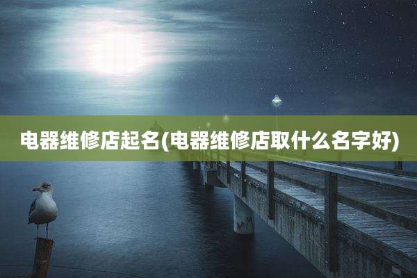 电器维修店起名(电器维修店取什么名字好)