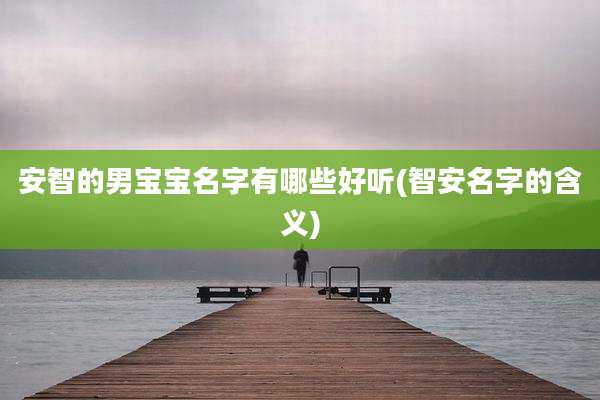 安智的男宝宝名字有哪些好听(智安名字的含义)