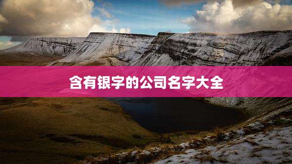 含有银字的公司名字大全