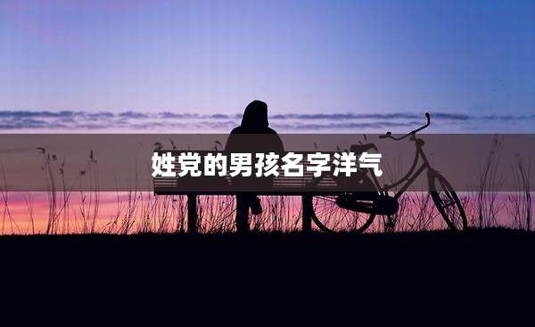 姓党的男孩名字洋气