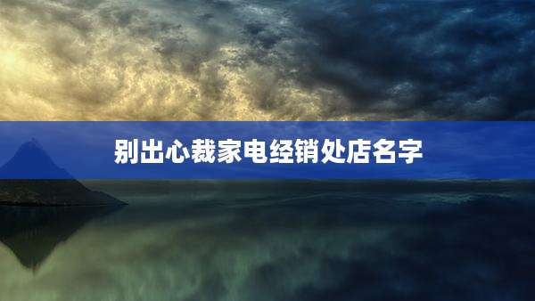 别出心裁家电经销处店名字