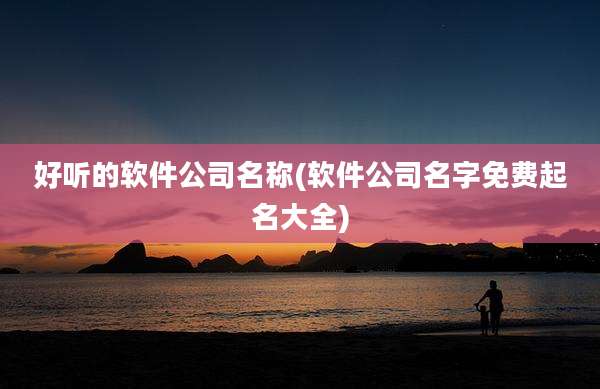 好听的软件公司名称(软件公司名字免费起名大全)
