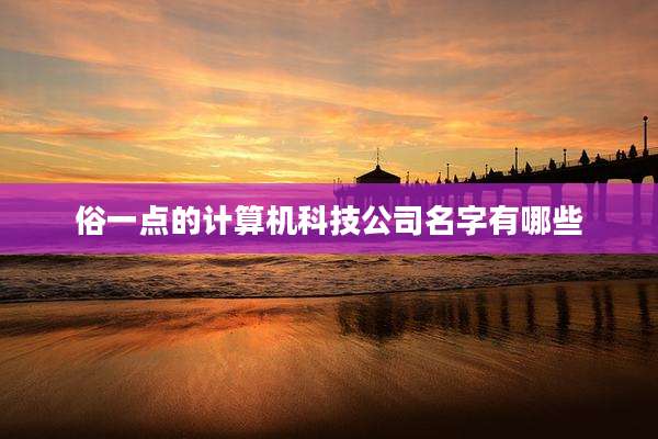 俗一点的计算机科技公司名字有哪些