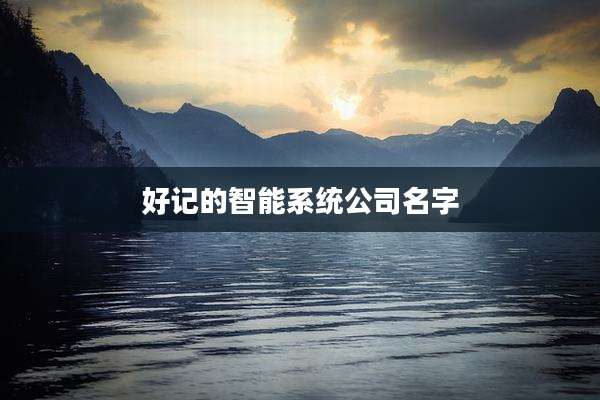 好记的智能系统公司名字