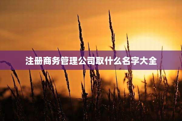 注册商务管理公司取什么名字大全