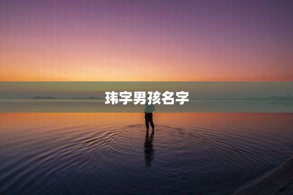 玮字男孩名字